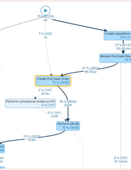 QPR ProcessAnalyzer Process Graph