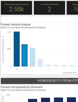 MEHRWERK ProcessMining (MPM) Process Variants