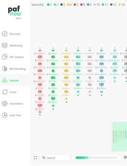 PAFnow Process Variants